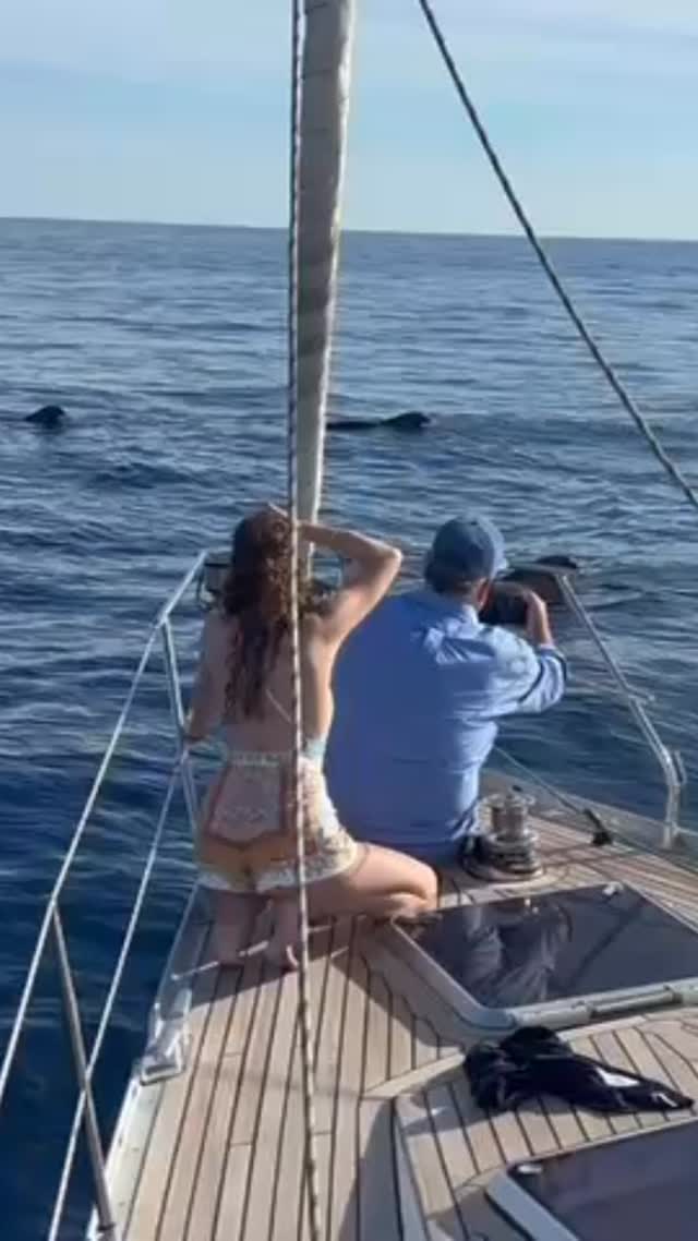 🌊 Pilot whales breathe air just like us! 🫁
They surface every few minutes to exhale and inhale through their blowhole, releasing a misty puff of air and vapor. 💨💦
Each breath connects ocean life with the air we share. 💙
#PilotWhale #OceanLife #BlueJackSail #WhaleWatching #Tenerife #RespectTheOcean