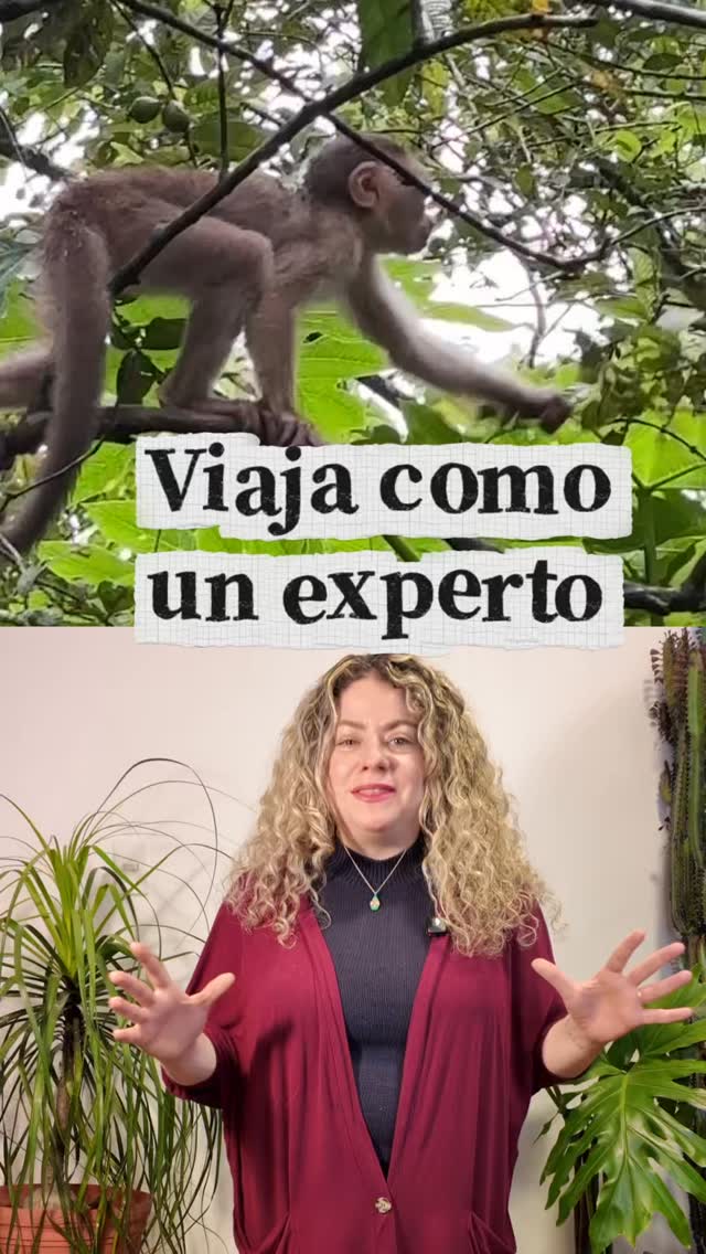 Viaja como un experto, viaja seguro y sobre todo viaja sin preocupaciones, con nosotros encuentras paquetes TODO INCLUIDO. ✔️⚡️
Visita nuestra web 🌎. www.animalviajero.com
#animalviajero #agenciadeviajes #travel #viajes #viajeros #viajerosporelmundo #travelblogger