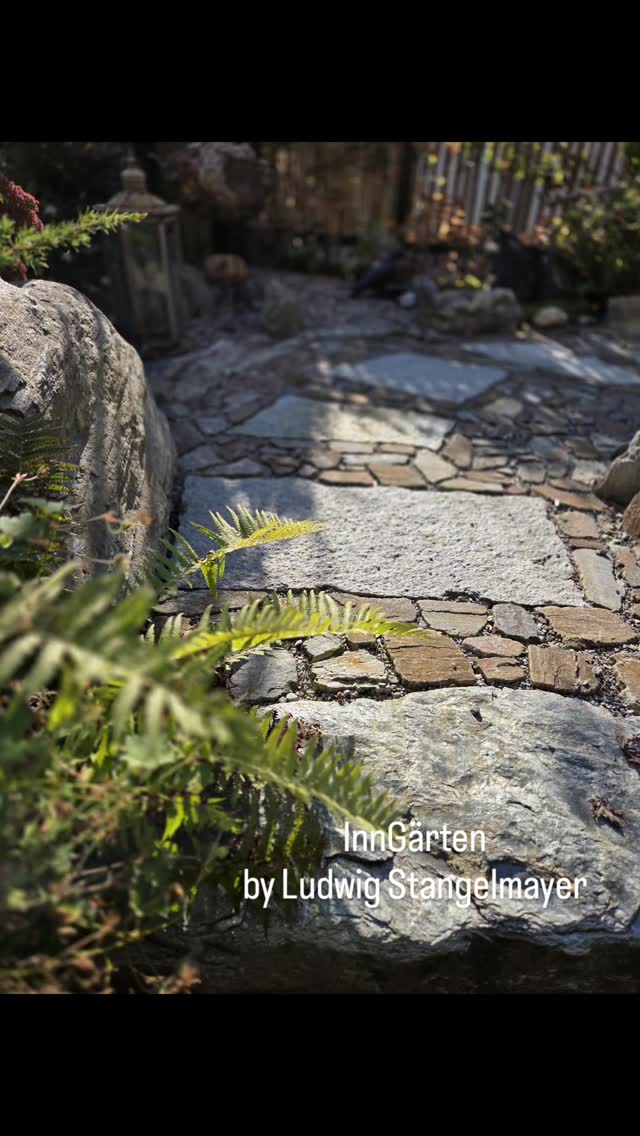 Herbststimmung
Wenn das Licht tiefer steht, zeigt der Garten sein wahres Gesicht –
Struktur, Farbe und Stille werden spürbar.
Die letzten Blüten treffen auf Stein, Schatten und Form.
Ein Garten im Wandel
www.inngaerten.at
#inngaerten #galabau #gartenbau #gartendesign #gartenideen #gartenpflege #bepflanzung #pflegeleichtergarten #naturgarten #staudenbeet #gartengestaltung #innsbruck