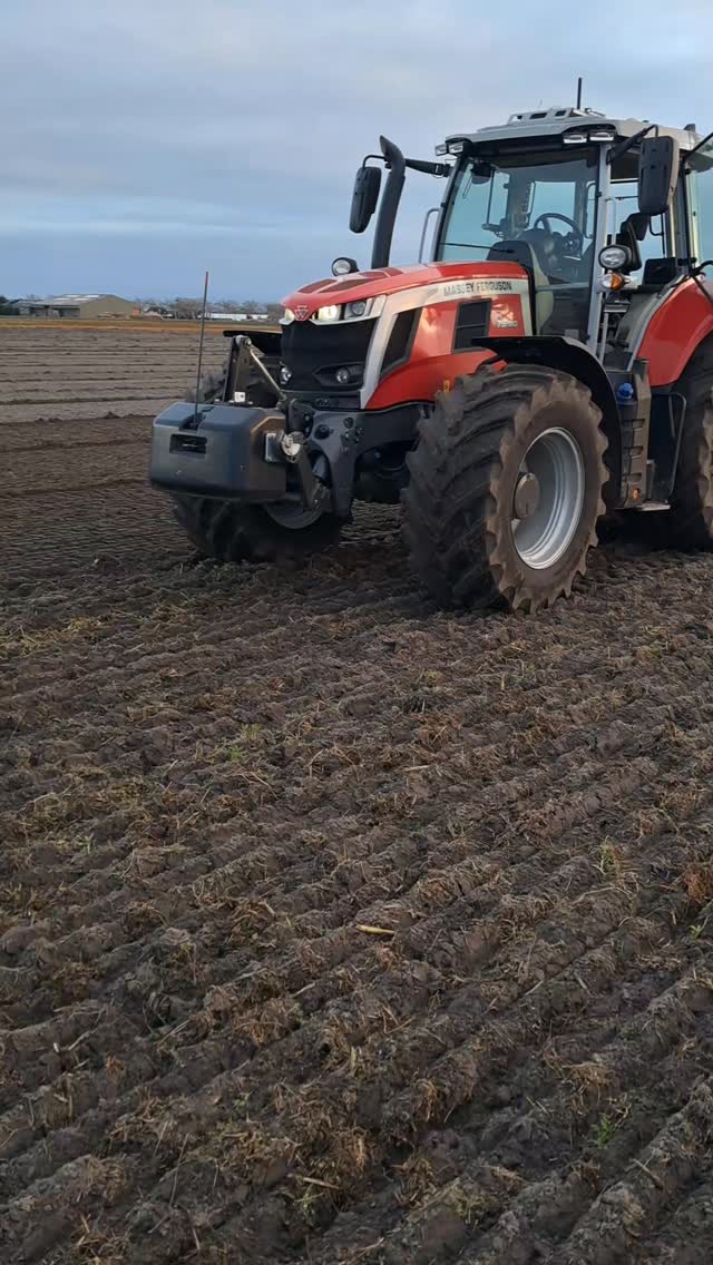 We maken de grond weer lekker luchtig door de woel erdoorheen te trekken. We doen er meteen een biologisch mengsel van zeewier, bonen en melasse bij om het bodemleven te stimuleren 🙂