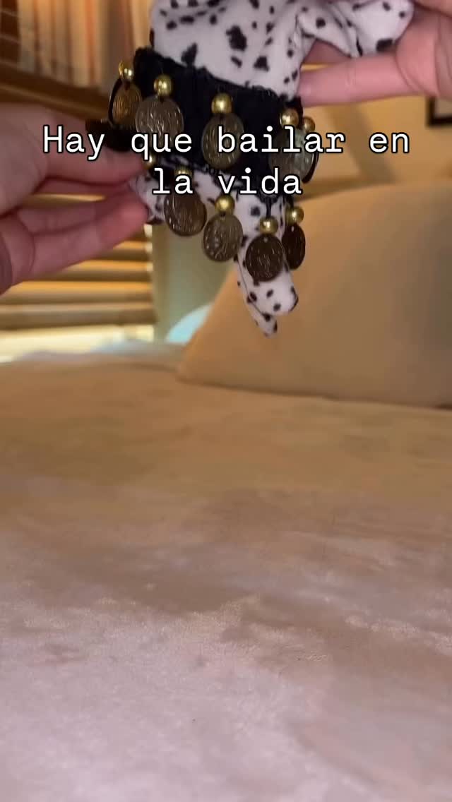 Este sí que esta bien entrenado!!!! 😍