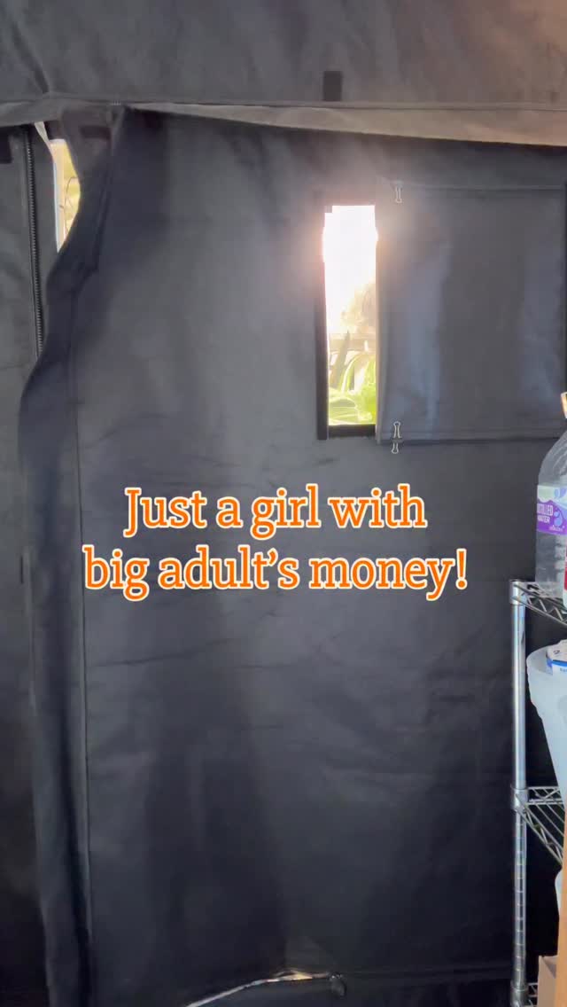 Being a responsible adult is hard, especially Plant Collecting is your hobby.
Most of times I am broke in wallet department BUT I feel rich inside! Who is with me?
Don’t miss my 1k Unicorn Palmstreet Live Sale this Wednesday, Oct 22, 4 pm PST. Too many good stuff! 💚💚
#plantsmakemehappy #supportsmallbusinesses #plantsaremedicineforthesoul #growtentlife #indoorjungle #anthuriumaddict #plantaddictionisreal❤️🍃