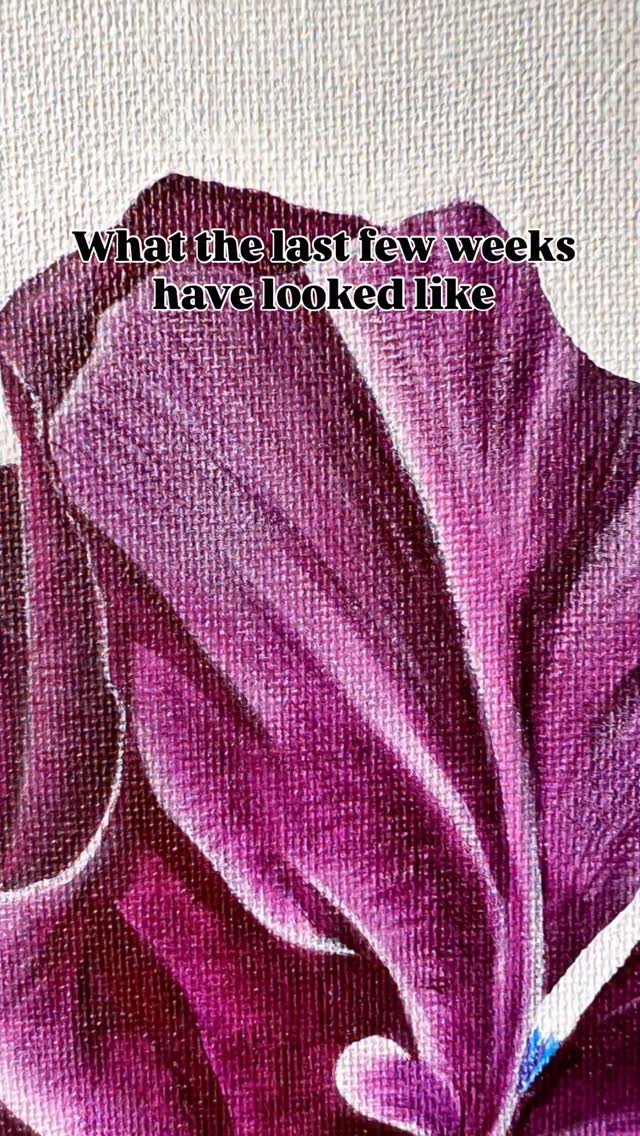 ❤️💐🌸🪴🪷🪻🌼🌷🌹🌺🌻