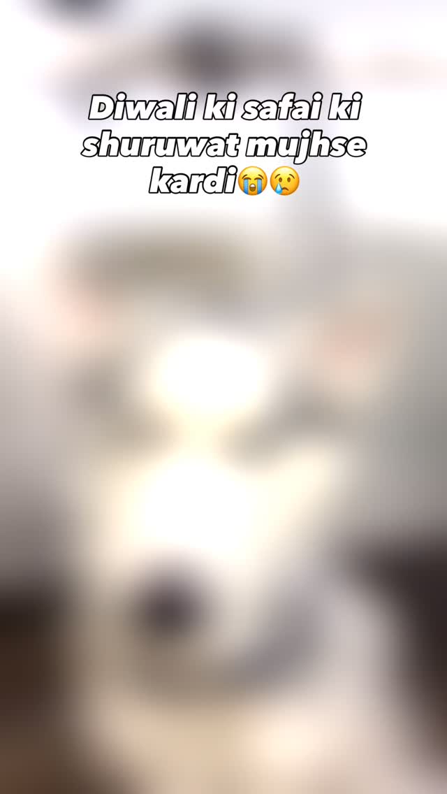 Every pet parent can relate😂🐾
#funnyvideos #funnyreelsvideo #mumbaipetslovers #petstudio #trendingreels #mumbaipets #dogsofinstagram #grooming #groomingsalon #doggrooming #doggroomingtips #trending
(Trending,viral,doggrooming,mumbaipetlovers,petstudio,petcafe)