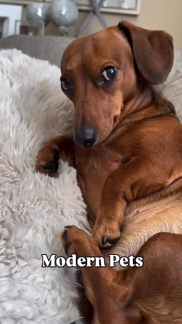 @henry_ma2021 🤣🤣