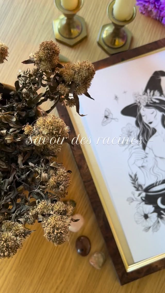 Savoir des racines 🌱
Deuxième illustration de ma mini-série de Samhain. 🍁
Une ode à la femme-créatrice, à l’instinct et à la puissance tranquille de celles qui transforment le monde.
🌙 10 tirages unique seulement !!
Le lien est dans la bio
#samhain🎃 #samhain #halloweeen #sorciere #sorcieremoderne #sorcières