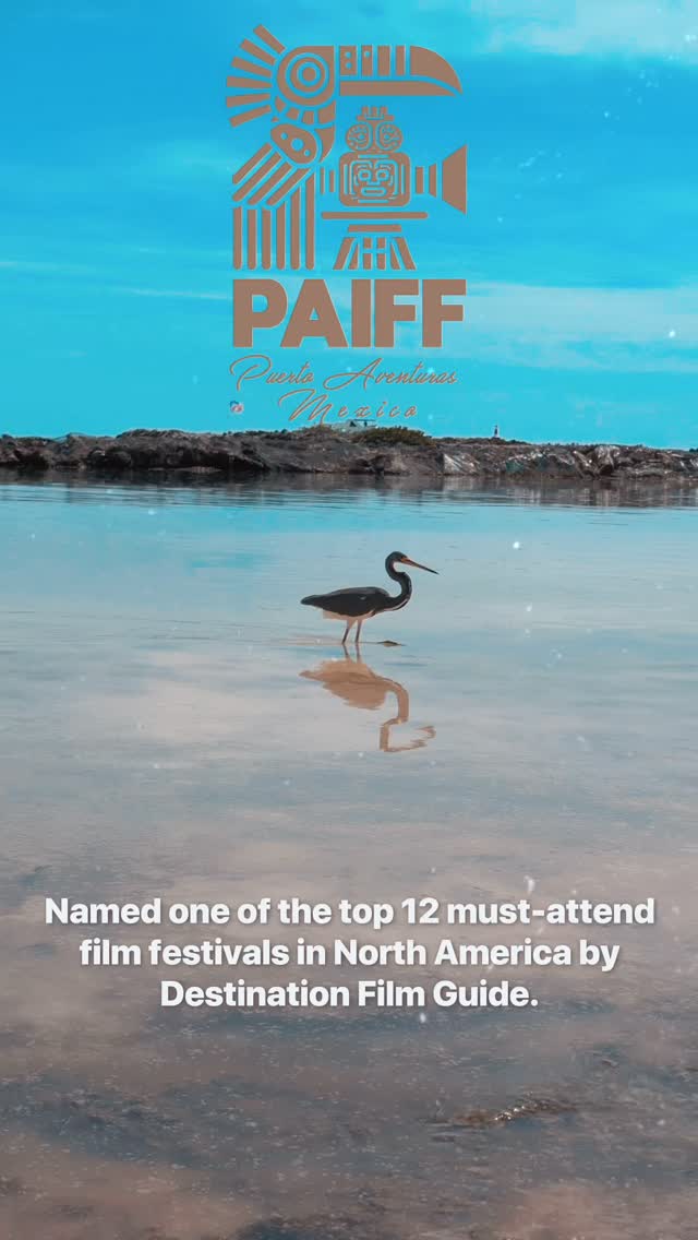 Take $50 off your festival passes for a limited time using the coupon code EARLYBIRD26 at checkout. #paiff #pafilmfestival #callforentries #filmfestival #tulum #playadelcarmen #rivieramaya @puertoaventurasoficial