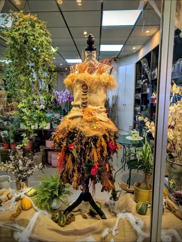 L’automne s’invite en vitrine 🍁✨
Une robe inspirée par la saison, entre feuillages dorés, douceur naturelle et petite touche d’Halloween 🎃
Une création qui mêle élégance et poésie, où la nature devient l’accessoire parfait de la saison 🧡🌾
#fleuriste #fleur #florist #flower #nice #automne #halloween #decoration #vitrine #creationflorale #artisanfleuriste #fleursdenice #decoflorale #artfloral #inspirationnature #emotionenfleurs