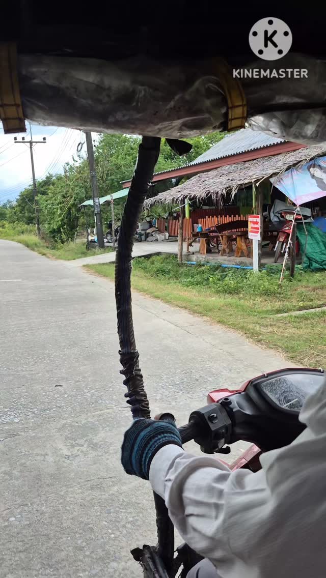 Today we take you to Koh Klang in Krabi, an amazing place where you feel out of Time with traditional southern Thai houses buffalos and rice fileds. Black pigmee bees farm, batik natural color painting, or coconut shell art. 30thb meal and nice taxi ride around the Island. #thailand #krabi #kohklang #กระบี่ #otop