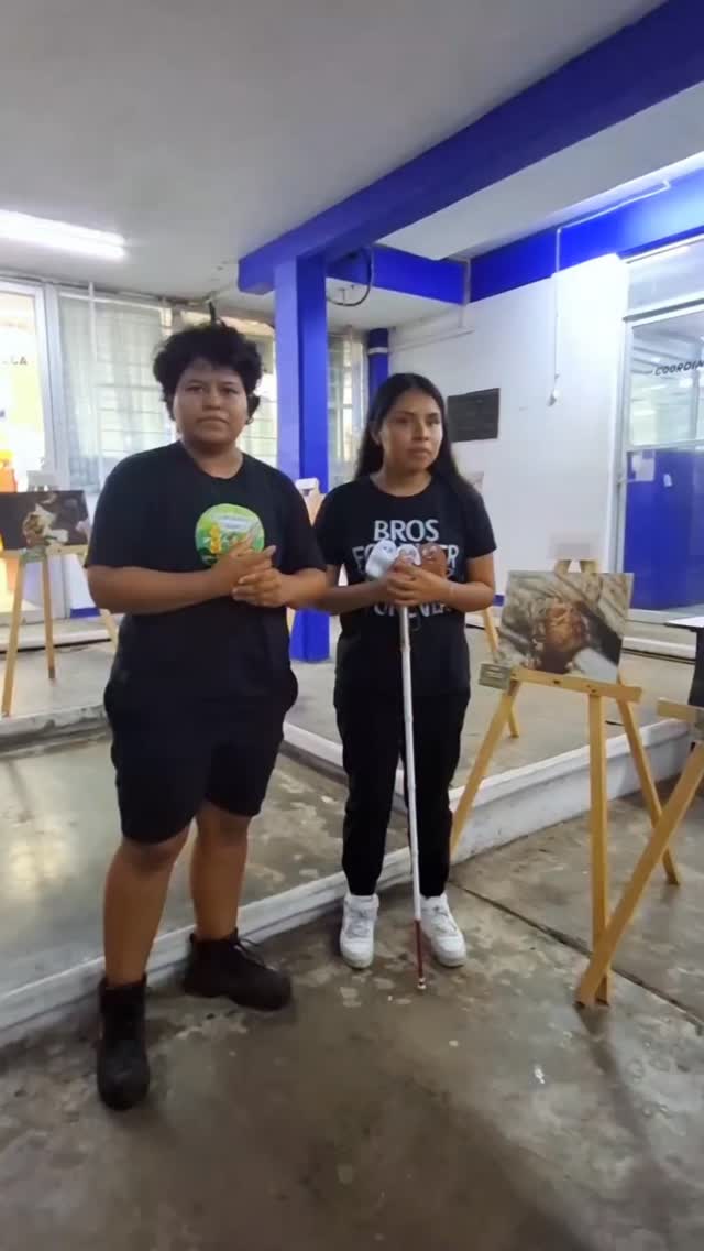 Acompañame a la XII Feria Internacional del Libro UNACH a mi exposición fotográfica "Polinizadores urbanos en el Soconusco"
#educacionambiental #inclusion #polinizadores #sistemabraille #braille #biodiversidad