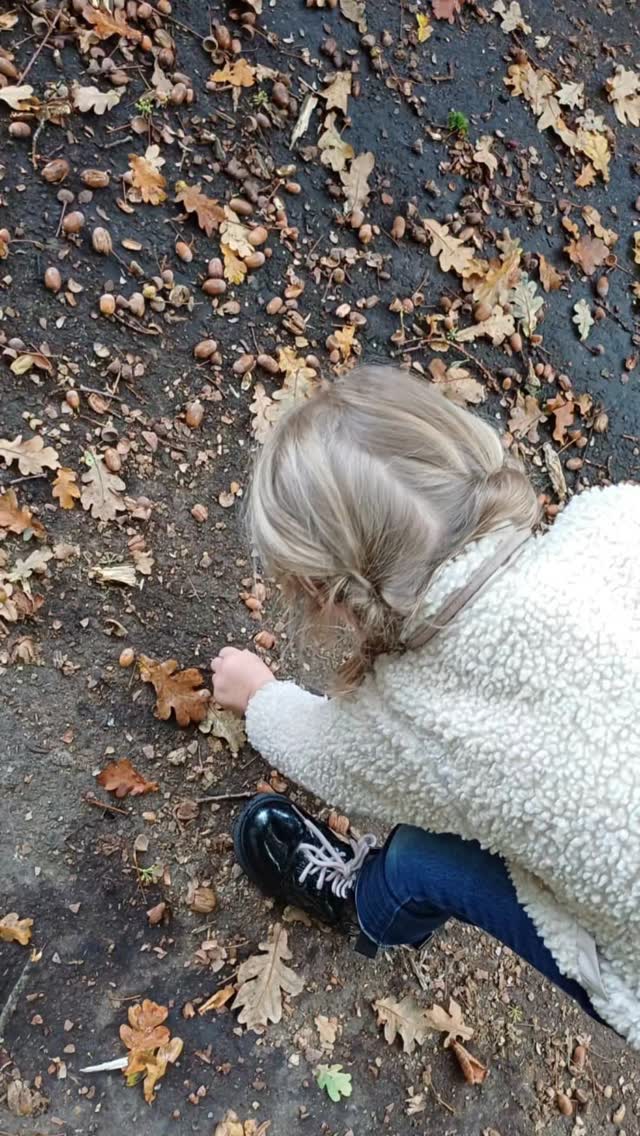 Thema Herfst 🍁🍂