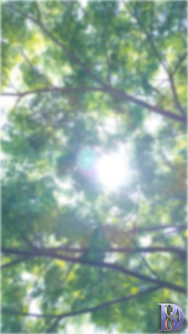 This #BlackHistoryMonthUK, we’re remembering that softness and strength can live in the same breath.
Our healing isn’t weakness — it’s resistance, it’s renewal, it’s legacy in motion.
Take time to rest, reflect, and refill your spirit — because wholeness is part of the revolution. 🤎
#WisdomWednesday #BrumGyalieGyalDem #BHMUK #HealingIsHistory #RootedInPower