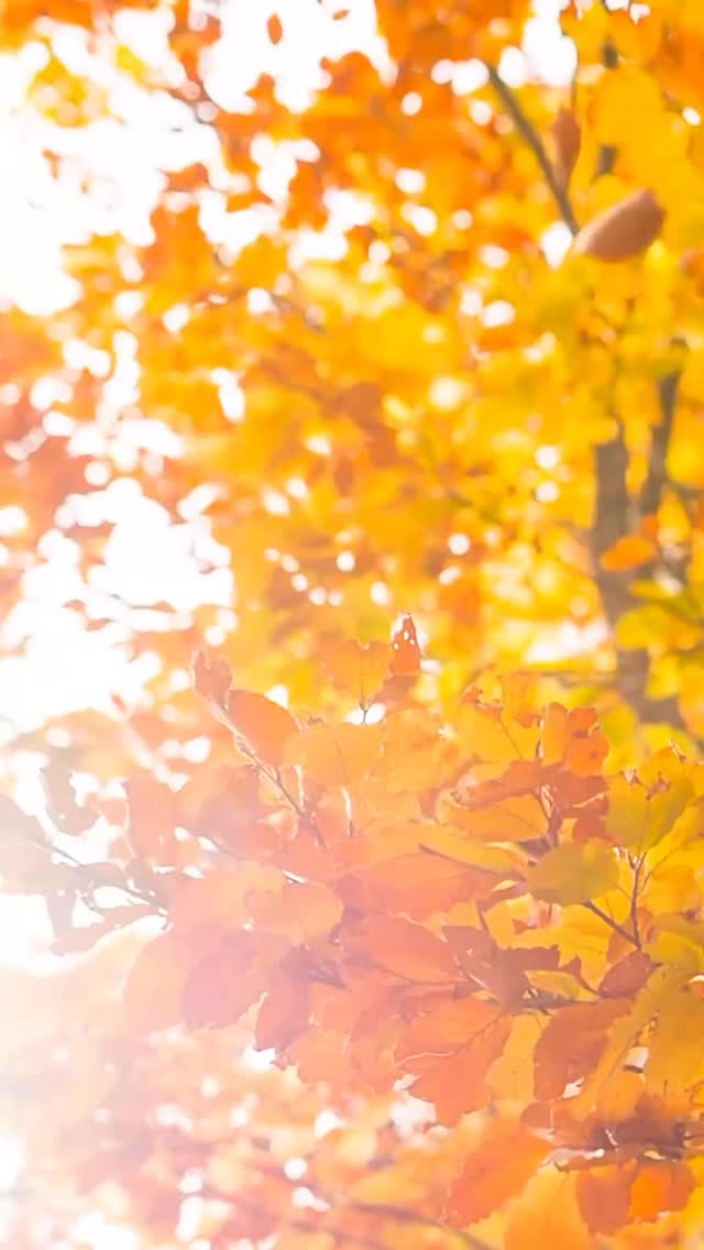 #secondhand #firstclasssecondhand #fleamarket #spenden #günstig #kommetundkaufet