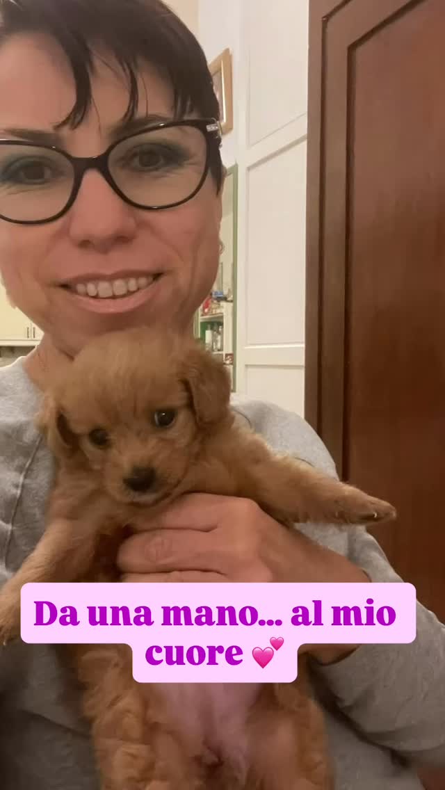 Da una manciatina di amore 🐾💛 … a piccola yogini al mio fianco sul tappetino 🧘♀️✨
Antonietta è con me da un anno e mi ricorda ogni giorno cosa significa presenza, fiducia e cuore aperto. 💫
E sì… nel prossimo corso di Yoga per Bambini ci sarà anche lei! 🐶🧒💚
#yogaperbambini #yogadog #yogainspiration #mindfulness #insegnanteyoga #cani #yogapractice #yogacommunity #yogalife #amore #presenza