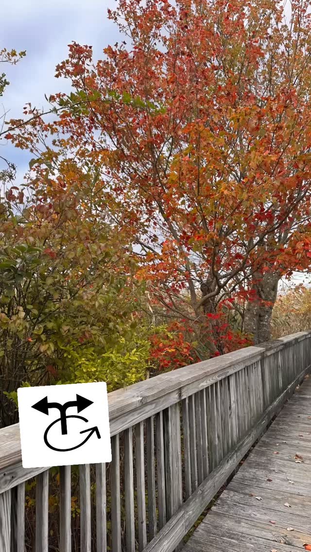 Nothing like Fall in New England. What’s your favorite leaf 👀 spot?
#leaf #leaves #autimnvibes #autumn #newenglandlife