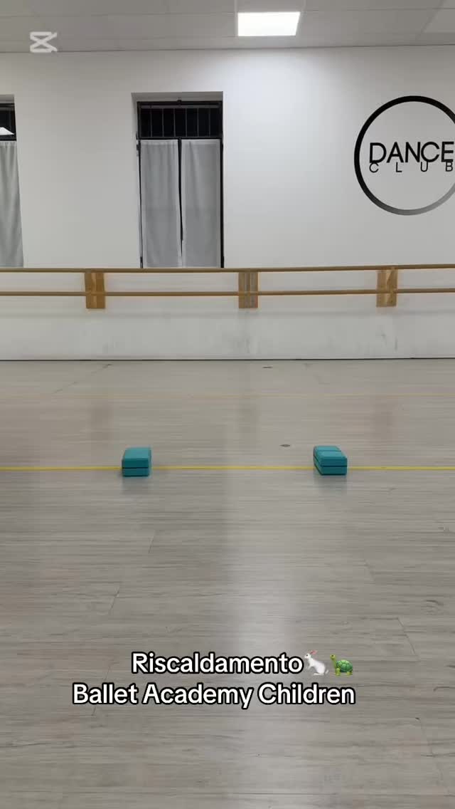 Riscaldamento Ballet Academy Children 🐇🐢
#tortoiseandhare #warmup #littledancer #foryou
