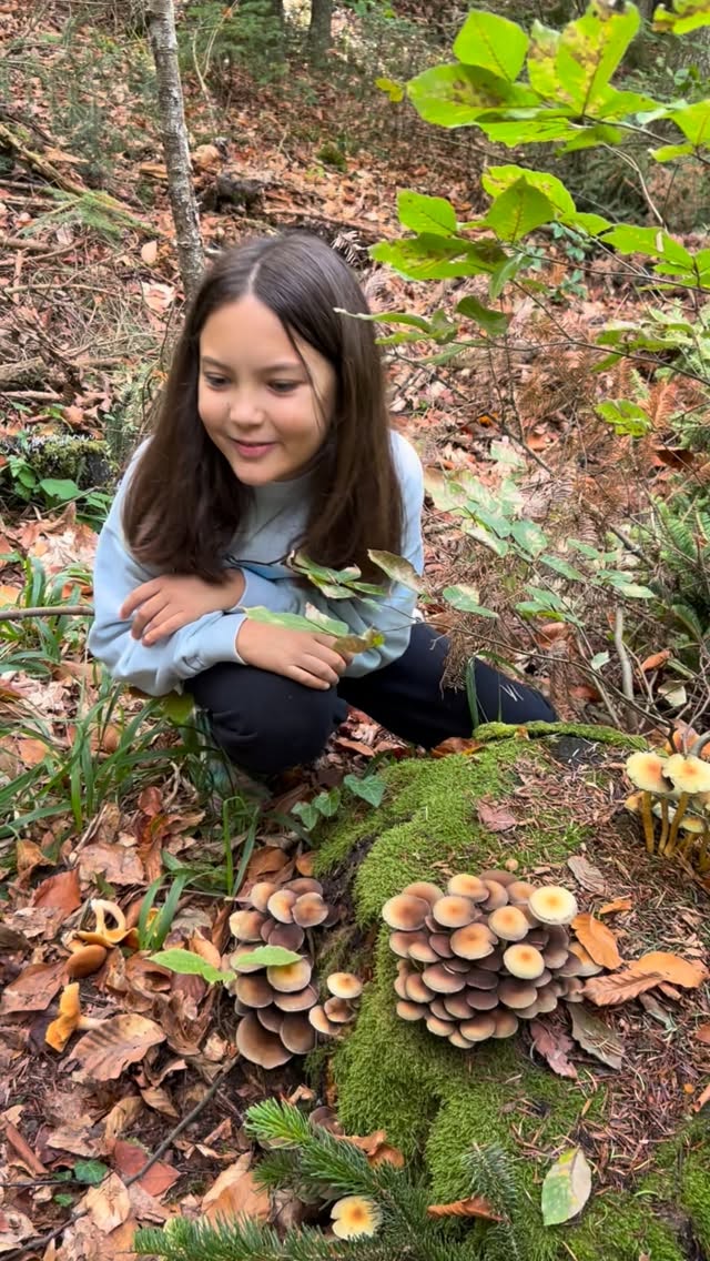 A fine family weekend 🍄🌲
#bungalow #abant #mushroom #familytime❤️