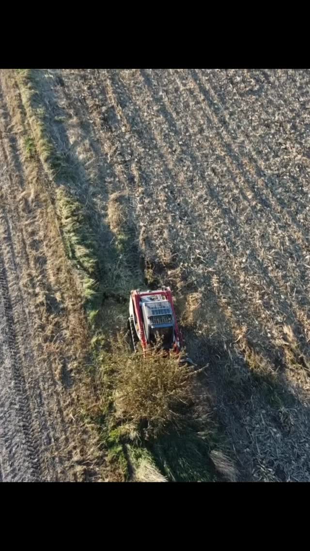 Clearing out this fence line for a local farmer who was tired of fighting brush every season.
A clean fence line makes chores easier and fields look sharp again. 💪
#FarmLife #FenceLineClearing #LandClearing #ForestryMulching #PrimeHabitatManagement #IllinoisFarms