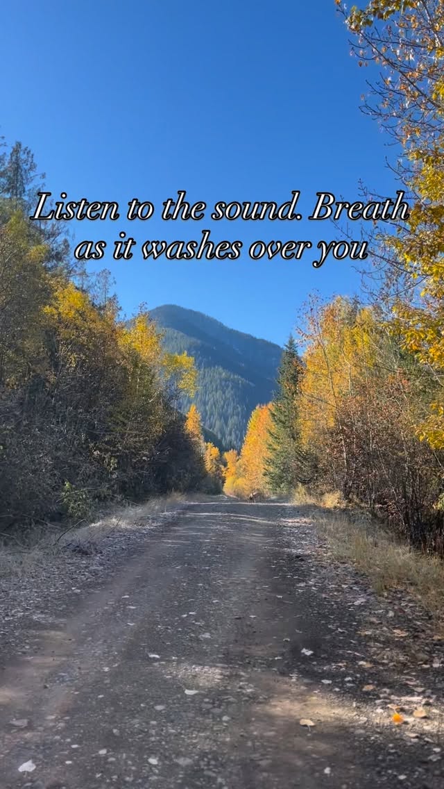 Rooted in presence. Flowing with grace.
The stream reminds us — what comes, goes. Each ripple a fleeting reflection, each drop a soft surrender. When we pause long enough to listen, we remember that life, like water, was never meant to be held — only felt, then released. #healingthroughnature #mindfulmoments #natureinbalance