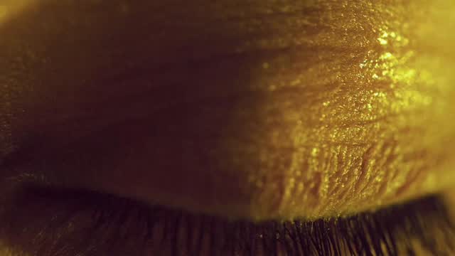 A dream in a dream …