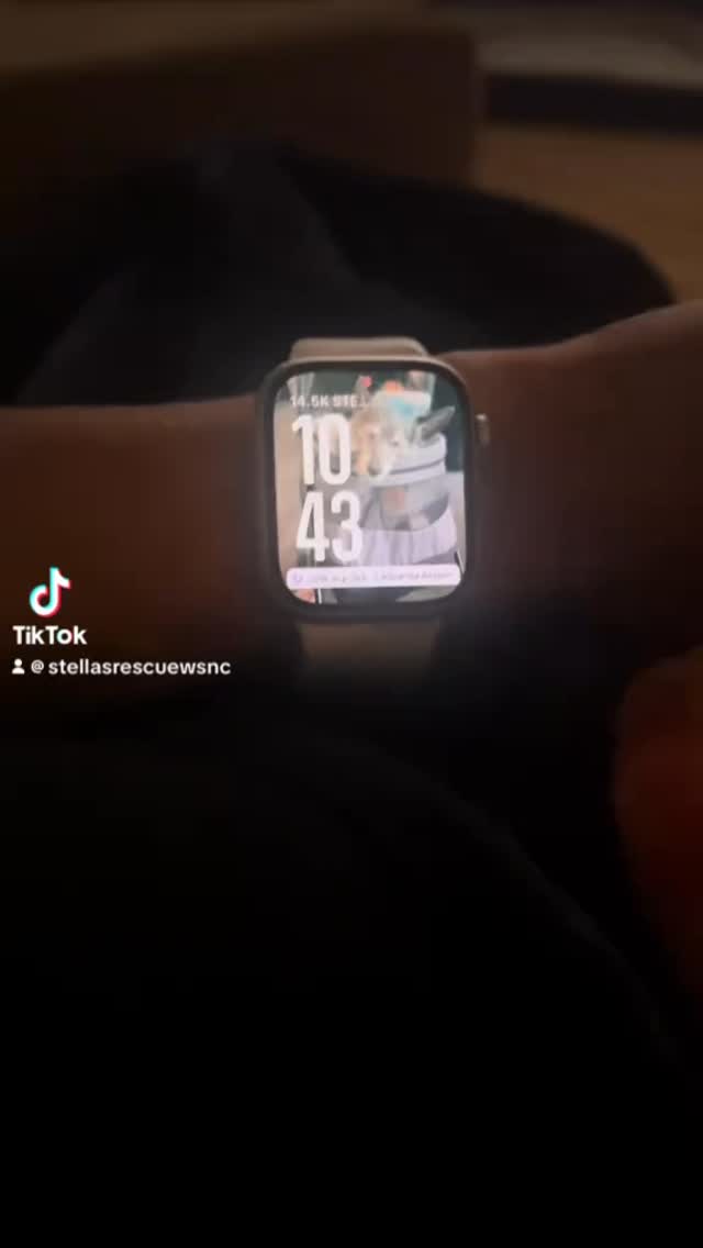 GRWM to welcome our newest little friend, Wednesday. She is a wiggly little pit bull baby with a broken leg-because people suck.
Gunky, Frida, Frijole and Chucky are still looking for homes BUT Frido, Flora and Alfie (Alfredo Potato) have new BFFs lined up
#grwm #adoptdontshop
#rescuedog #stellasrescue #pitbull #spayandneuter