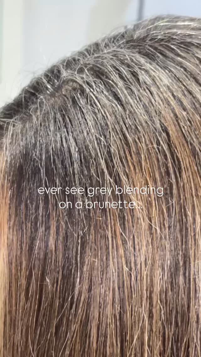 ✨ Blending, Not Hiding. ✨
Because gray blending isn’t about covering — it’s about enhancing what’s already yours. 🌿
This gray-blending technique is perfect if you’re ready to embrace your natural tones while keeping that rich, polished finish. Created by our fabulous hair artist Rachel (senior)
Fall is the season of transformation — and your hair deserves one too.
If you’ve been thinking about blending your grays, this is your sign. Click that link in bio for reservations.
#yqr #yqrhair #yqrhairstylist