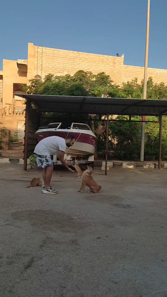 Break free from habits that hold you back! I swapped mindless scrolling for a morning boost: ginger shot (DM for recipe!), rope jumping, nature walks with my pup, early rise, and bedtime before 12. Want to level up your mornings? Watch till the end!