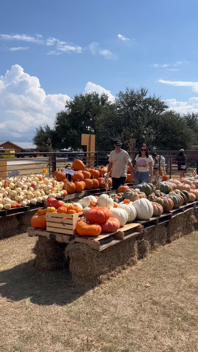 It is SUNNY beautiful weather over here! Come on out for the harvest festival today and tomorrow!