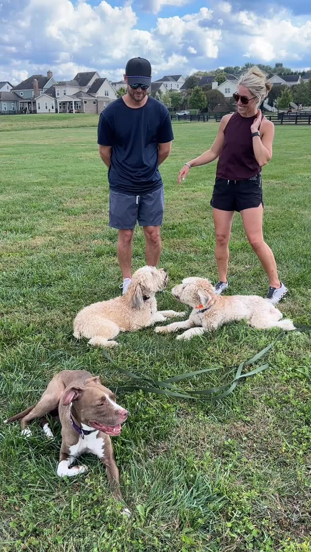 Bear & Chevy’s mom said something along the lines of “If you would have told me this would’ve gone this way, I wouldn’t have believed you.”
To a certain extent, every behavioral case is like an experiment. There’s a sample and a control.
The sample is the nuances of why those particular dogs are reactive or aggressive, what they respond to better for freedom and play, and how much of a correction they might need when we decide to have that conversation.
The “control” is the litmus test that ensures that everything within our control is being worked: crating when unsupervised, biological fulfillment as a daily decision, and payments and punishments at the appropriate times.
I just wanted to shout out these two humans for their hard work. If a dog trainer doesn’t give the reactive dog a chance to throw down, they’re not doing their job.
Today, Mila earned her stripes and kicked Chevy’s ass. He learned not to write checks he cannot cash. There was blood 🩸This may be an unpopular opinion but if you’re always working dogs thru prevention and under threshold, you’re preparing them for nothing - a world that has no distractions, stressors, or consequences. By then end of the session, Chevy was sniffing and laying next to Mila all on his own.
This is why I do this. There are miraculous transformations that I don’t always get to show, and I need to do a better job of that.
But this one made me so proud of this dog and handler team!
#dogbehavior #canine #dogtraining #wheatonterrier #pitbull