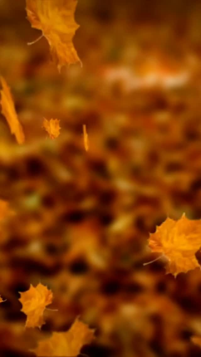 ๐ชทHave you been feeling all the feels this year?
โจ๏ธGoing through it?
๐Alchemizing your past?
It's been a wild year, one that has really called us into our Self....and the best way to support yourself through this process is with some Self Care + Energy Healing๐