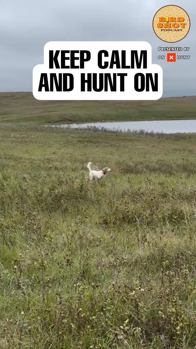 Patience builds control in bird dogs.
In this episode of The Birdshot Podcast, host @nilarson13 is joined by Ann Jandernoa for a masterclass in canine mindset, emotional control, and field development.
🎧 Listen to the full episode, link in bio
#birdshotpodcast #birddogtraining #workingdogs #dogdiscipline #fieldcontrol #uplandhunting #huntingdogs #dogmindset #gunDogs #trainforpatience #steadinessmatters