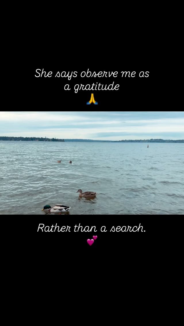 Observing, not looking for anything evokes a presence, attentiveness, and an ethics of witnessing rather than meaning making with biases that are ingrained in us.
“Paying attention is a form of reciprocity with the living world, receiving the gifts with open eyes and open heart.”
(Kimmerer, Braiding Sweetgrass, 2013)
“To see the world rightly is to see oneself as part of it, not as a detached mind surveying a field of objects.”
(Plumwood, Feminism and the Mastery of Nature, 1993).
#salanaaura #feminineawakening #lifecoaching