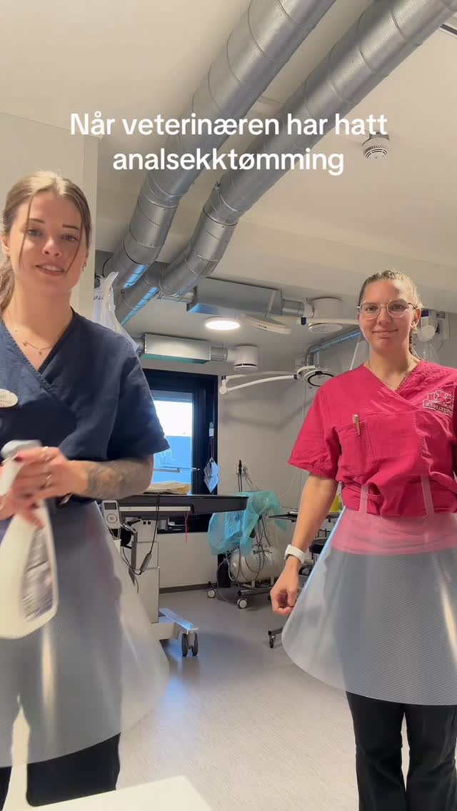 Det er fredag og det betyr nytt humorklipp! 💩