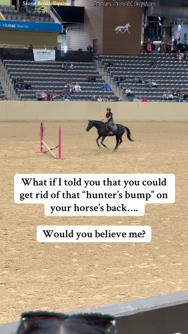 You’ve seen it — that raised ridge over the top of the croup where the spine dips and the muscles seem to vanish.
Everyone calls it a “hunter’s bump,” but here’s the secret:
👉 It’s not a cosmetic flaw. It’s a symptom.
That bump is your horse’s way of saying, “My pelvis isn’t moving right.”
💥 The lumbosacral joint — where power transfers from hindquarters to spine — locks up.
💥 The muscles that stabilize it go into spasm to protect the area.
💥 Over time, tension pulls the pelvis out of alignment, creating the visible “bump.”
This is where massage and acupressure change the game.
🌿 Massage releases the guarding muscles — gluteals, longissimus, and hamstrings — restoring blood flow and elasticity.
⚡ Acupressure activates the body’s own repair system, helping reset the sacrum’s balance and nerve communication through the lower back.
When you combine these, you’re not “rubbing out” a bump — you’re unwinding the compensation patterns that created it.
✨ The result?
The pelvis starts to move freely again
The topline fills back in naturally
The “bump” softens as the body realigns
And your horse finally moves from behind with power instead of pain
Because the hunter’s bump isn’t the problem — it’s the body’s SOS.
Massage and acupressure just happen to be the language that answers it.
🌿 Comment LEARN to get your FREE acupressure guide for back pain
🌿 You can change your horses future today by learning how to massage your own horse at Stone Brook Academy online
🌿 Follow for more horse tips
#healer #holistichealth #cowboy #ranchlife #farmlife
