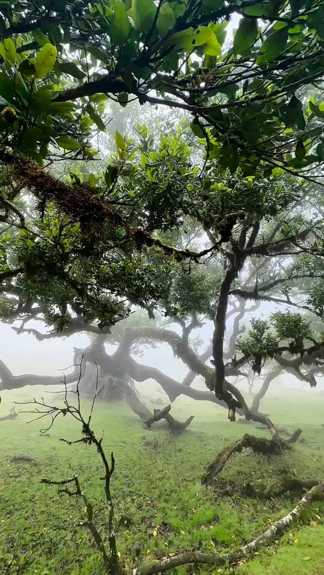 #albertatravelagency #tourism #smallbusinessowner #lethbridge #lethbridgebusiness #travelleaders #travelgoals #lethbridge #lethbridgebusiness #albertatravel #albertatravelagency #travel #cruising #adventure #vacation #holiday #traveling #airline #wonderlust #tourist #tourism #explore #adventure #beach #luxury #hotels #life #fun #villa #oceansidevilla #luxurytravel #travelers #destination #travelgoals #allinclusive #rivercruise