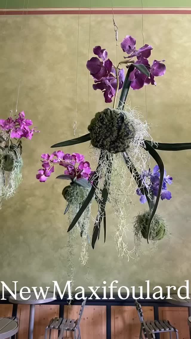 NEWMAXIFOULARD2025.26
#madeincomo #madeinitaly #scarf #maxifoulard #accessories #followers #silk