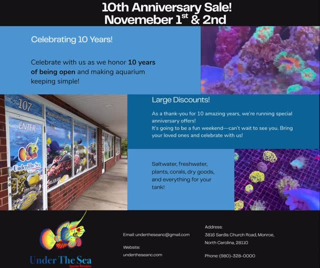 🎉 We’re celebrating 10 amazing years serving the greater Charlotte area!
Join us Nov 1st–2nd for our 10th Anniversary Sale — with huge discounts on fish, coral, plants, and more! 🪸🐠
Thank you all for being part of our fish family and supporting us through the years 💙
.
.
.
.
Under The Sea
📍 3816 Sardis Church Rd, Monroe, NC 28110
📞 (980) 328-0000
🕒 Tuesday–Saturday: 11AM – 6PM
Sunday: 12PM – 5PM
Closed Monday
🔗 https://undertheseanc.com
#UnderTheSeaNC #AquariumLife #SummerVibes #OceanInYourHome #AquariumMaintenance #ReefTank #SaltwaterAquarium #CoralReef #Aquascape #FishTankGoals #reeftank #saltwateraquarium #coralreef #aquariumhobby #aquascape #reefaddict #tropicalfish #aquariumlife #fishtank #coral #reefaquarium #plantedtank #fishkeeping #aquariumsofinstagram