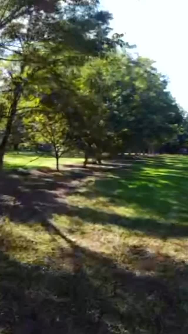 It’s that time of year! Chocolate-covered & praline pecans available at godwinpecans.com! #GodwinPecans #GeorgiaGrown #pecanpralines #pecans