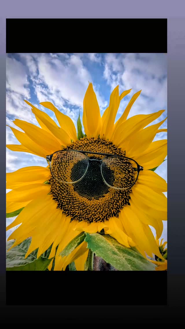 #goodbyesummer
#helloautumn
#optikkantwerk
#penzberg