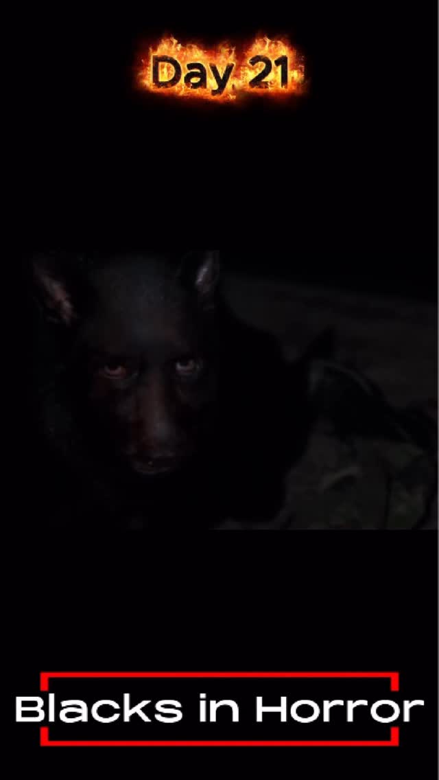 Day 21: The perm and the silk press stars in this early 2000s movie. In this movie, we continue the guilty pleasure offerings from Day 20. Stay until end for movie. #perm #blackmedia