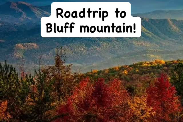 Mountain pickleball courts in the making!! #court #artist #pickleball #pickleballislife #pickled100percent #familyowenedandoperated #veteranowned #viral #fyp @sportmastersportsurfaces