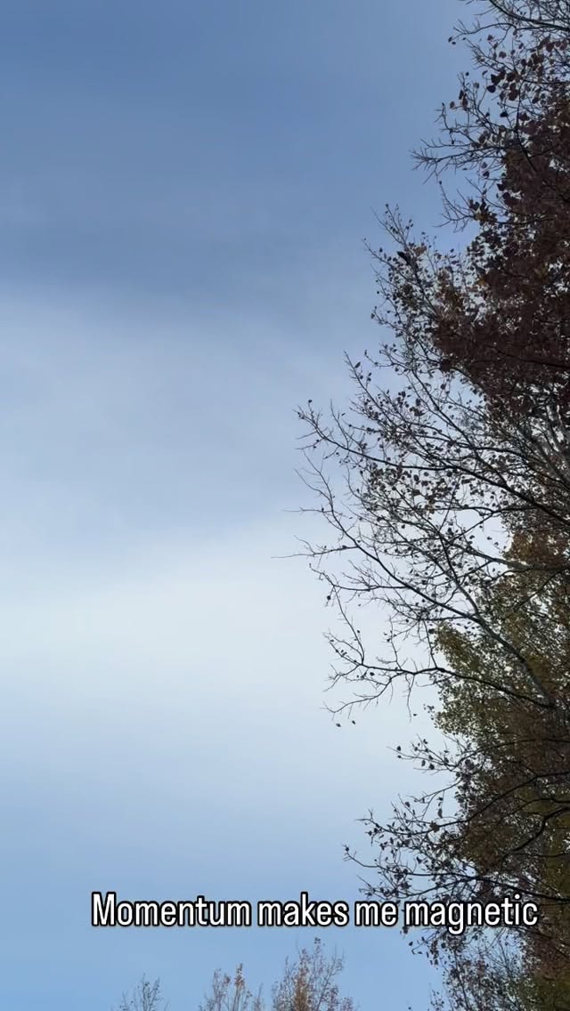 Momentum doesn’t come from confidence 🔥
it comes from moving before you feel ready.
One small choice,
one glass of water before coffee,
one prepped lunch instead of winging it,
one class outlined even if it’s not perfect…
Tiny movements compound into identity.
Every time I act 🍂even gently 🍂
I become more of the woman I keep saying I want to be.
Momentum makes me magnetic.
Not perfection. Not planning. Not waiting.
Motion → becomes magnetism.
Light steps → become loud results.
Today I moved.
And that is the whole point.