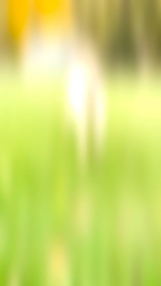 Two new beauties are calling Van Acres home. Meet Ginger (tan) an Alpine goat and Snowy (white) a Saanen/Nubian cross. These girls are simply stunning. 🤩 
#goats #wisconsin