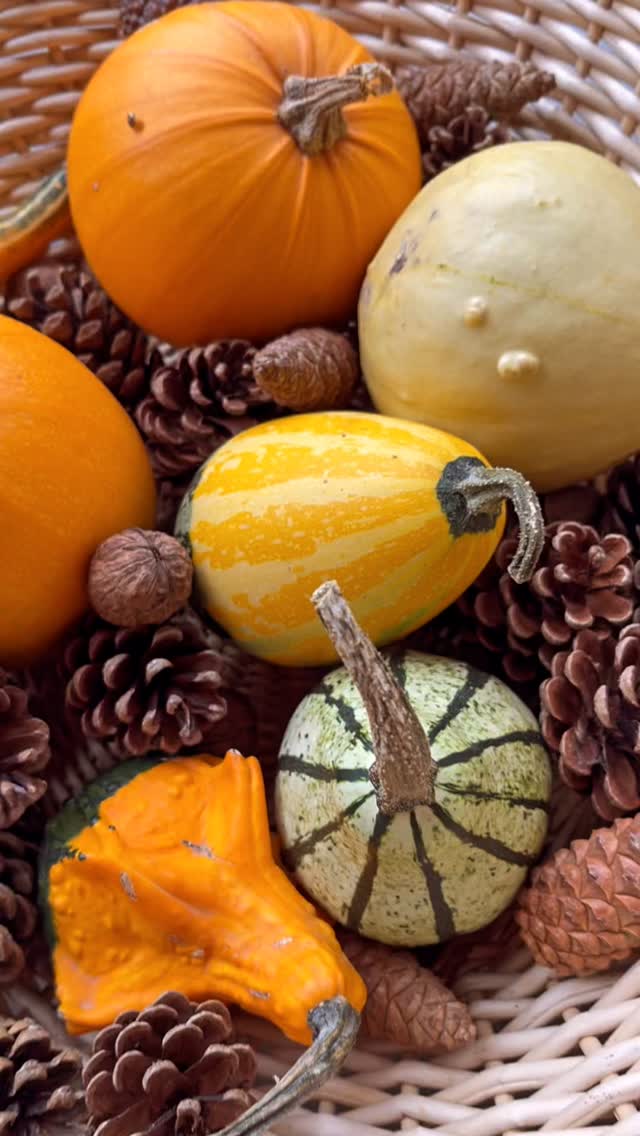 #domaine1687 #mariage #champetre #chic #boheme #nature #foret #domaine #evenement #guest #event #weeding #france