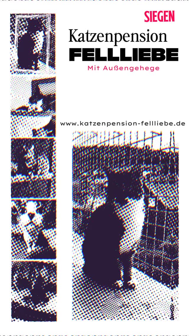 Ihr wollt mehr über uns wissen? Dann meldet euch 😊
.
.
.
.
#Katzenpension #Katzenhotel #Katzenliebe #Katzenbetreuung #Katzenurlaub #HappyCat #Katzenleben #Tierpension #KatzenpensionSiegen #Katze #cat #TierpensionSiegen #Kuschelkätzchen #MiezMiez #Samtpfoten #Katzenfreunde #Katzenparadies #Schnurrparadies #Siegen #Katze #fellliebe #liebe #love #olpe #Siegen #kreis-siegen-wittgenstein #kreuztal