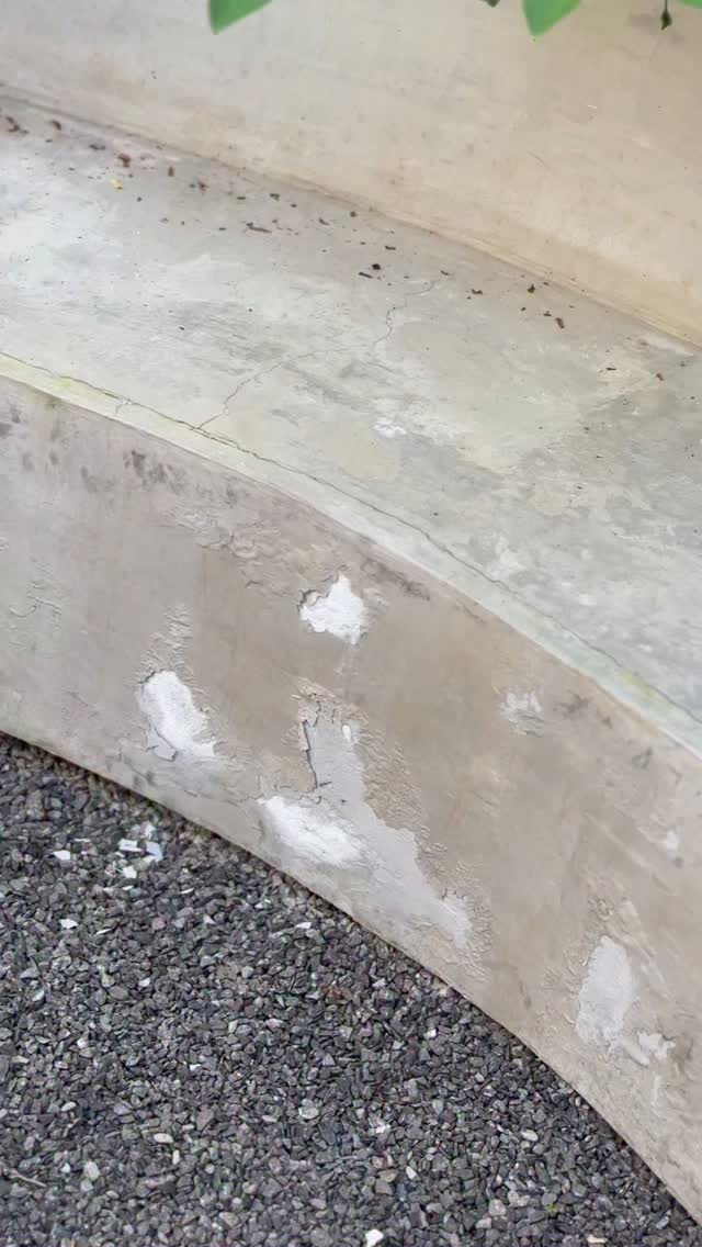 😣Nada arruina más un espacio bonito que la humedad, ¿verdad?
Con Festex Silicón eso no pasa.
💦Protege tus muros con una capa invisible que repele el agua y evita la formación de hongos y musgos, sin alterar su color ni acabado.
Tus paredes se ven igual, solo que ahora están protegidas.
¡👀Cuéntame dónde lo aplicarías!
@fester_mexico #ParaLoQueVasAConstruirHoy