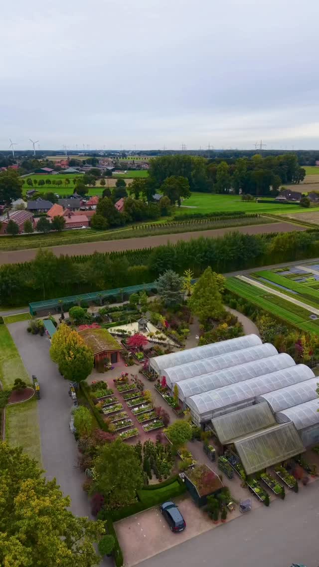 Der Verkauf von oben 🙌
Du hast Lust in so einem Umfeld zu arbeiten oder eine Ausbildung zu machen? Melde dich bei uns 💚
#baumschulenterbrack #baumschule #pflanzencenter #gartencenter #herbst #drohne #ausbildung #arbeitsplatz #boomkwekerij