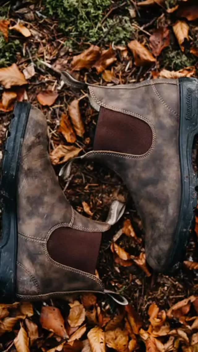 Classics for a reason. Renowned for legendary comfort Blundstone’s signature #585s deliver all the durability and outstanding shock absorption with every step. The supple Rustic Brown water-resistant waxed nubuck uppers will mold to your foot for that worn-in feeling. Legendary comfort, timeless design.
Now available at Henry’s of Moreton
#blundstone #chelseaboots #countryclothing #cotswolds #countrylife #hiking #unisex #premiumleather #comfortable #quality #classicboot