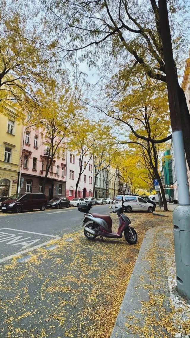 Colours of Autumn in Prague 🍂 restful break was much needed moving into darker nights and days
#Prague #VisitPrague #DiscoverPrague #HiddenPrague #OldTownPrague #CharlesBridge #PragueCastle #BohemianBeauty #PragueVibes #FairytalePrague #WanderPrague #PragueStreets #PragueMoments #PragueCafes #PraguePhotography #LostInPrague #BeautifulPrague #EuropeTravel #CzechVibes #PragueLover