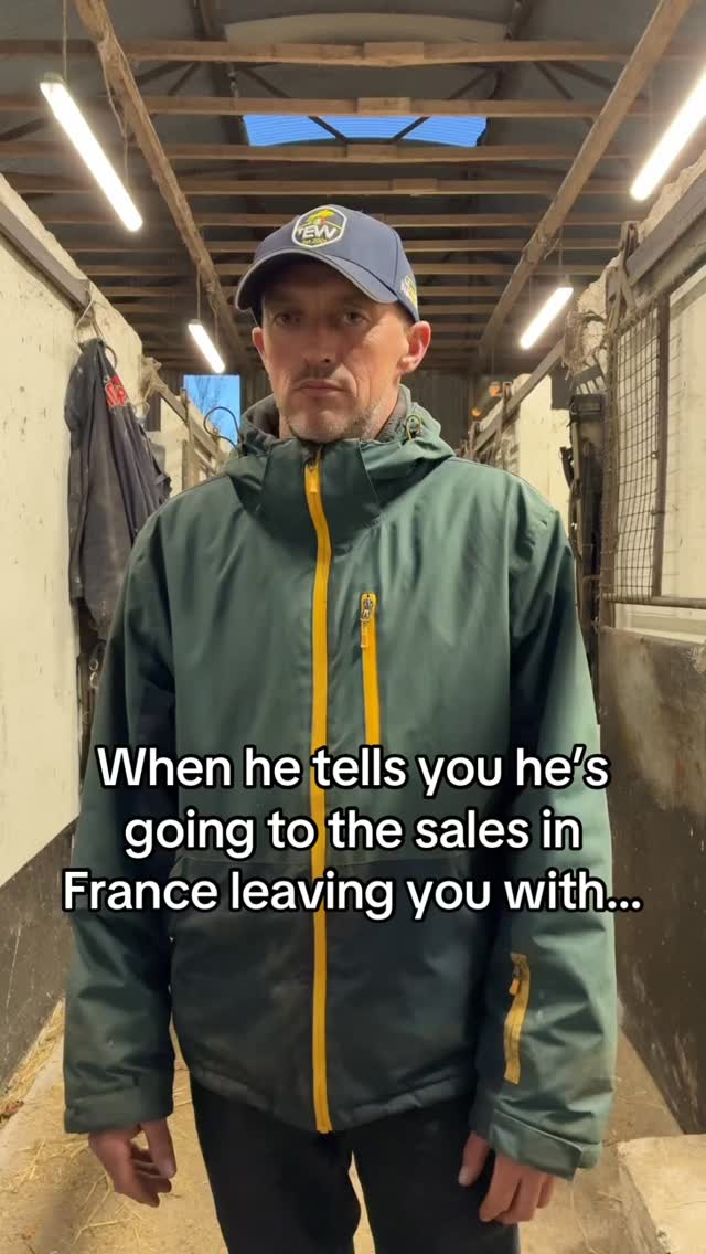 The night before the sales in France 🇫🇷 🤯😤@arqana_deauville #breezeup #winner #racehorse #breezeup2025 #thoroughbreds #mentalload